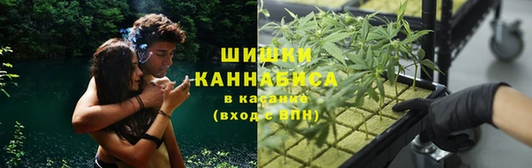 mix Алексин